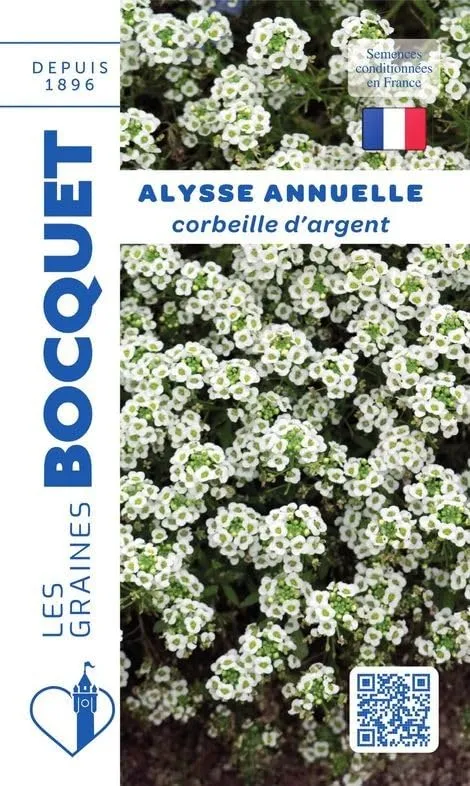 graines-bocquet-alysse-corbeille-d-argent-fleur-1-g-blanche image 1