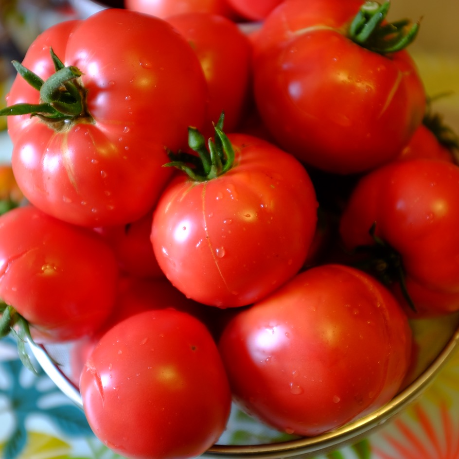 la-bo-te-graines-tomate-rose-de-berne-bio-graines-rose-parfum-e image 3