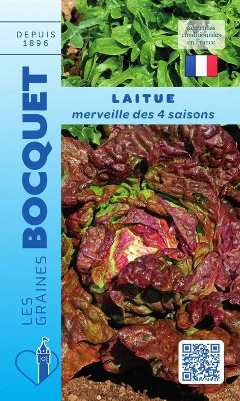 graines-bocquet-laitue-merveille-4-saisons-graines-4-g-rouge image 1