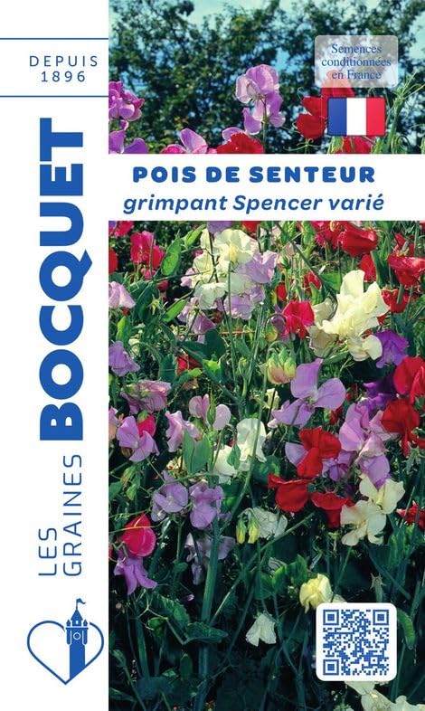 graines-bocquet-pois-de-senteur-spencer-graines-fleurs-6-g-vari image 1