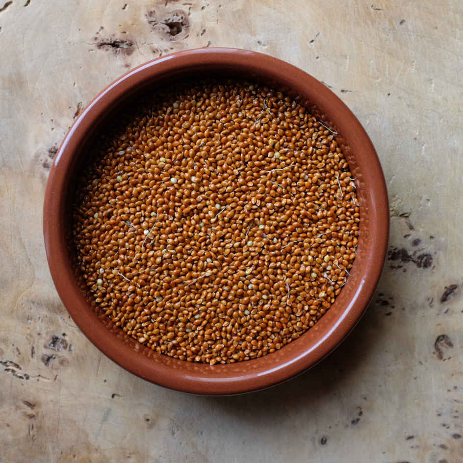 la-bo-te-graines-graines-l-gumes-millet-juosves-bio-cuivr image 2