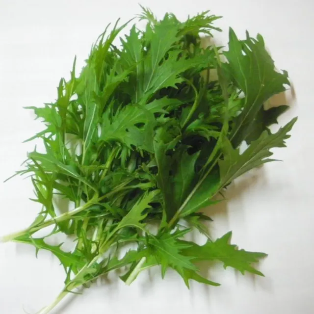 la-bo-te-graines-graines-l-gumes-mizuna-salade-bio-hiver image 1