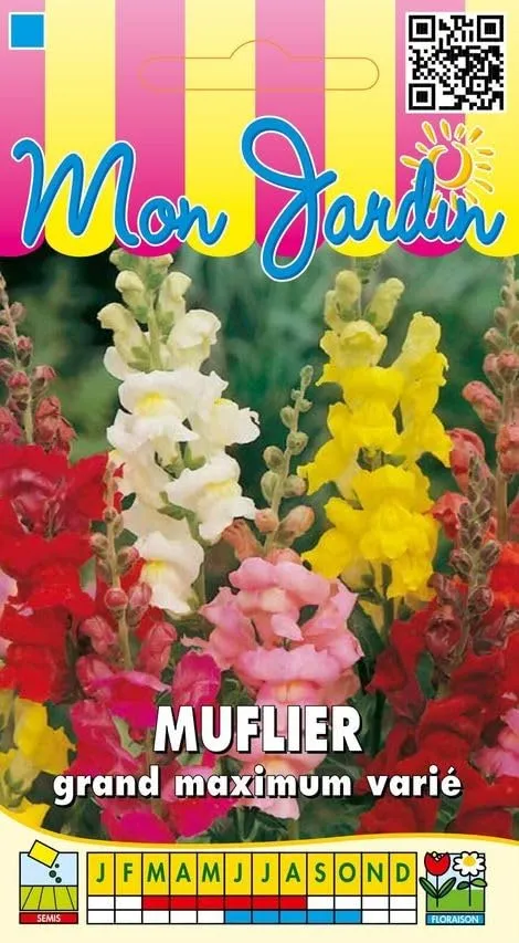 graines-bocquet-muflier-grand-maximum-graines-fleurs-0-5-g-vari image 1