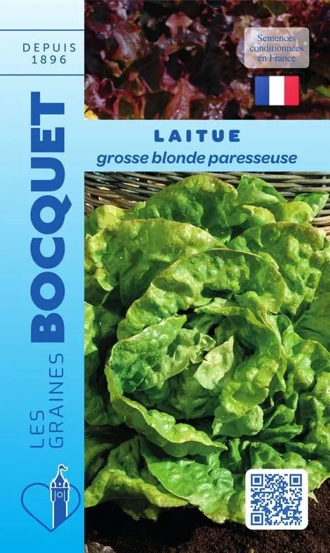 graines-bocquet-laitue-grosse-blonde-paresseuse-graines-4-g image 1