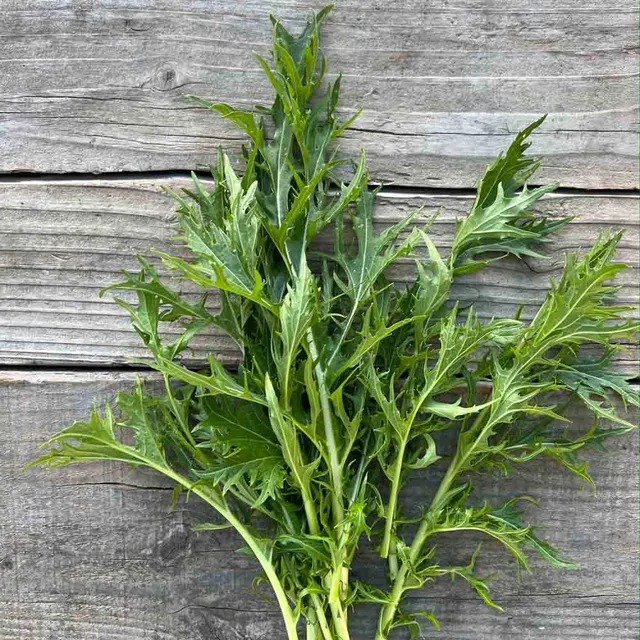 ferme-de-sainte-marthe-chou-mizuna-graines-bio-salade image 1
