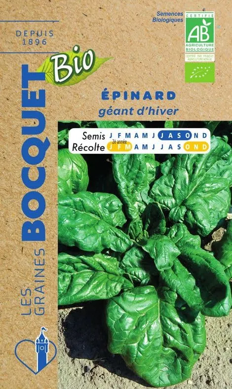 graines-bocquet-bio-epinard-g-ant-d-hiver-graines-10-g-bio image 1