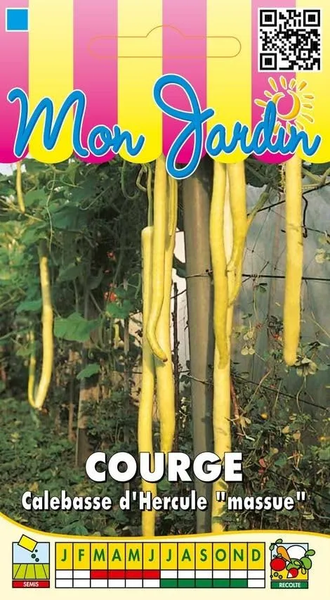graines-bocquet-courge-calebasse-massue-d-hercule-3-g-d-co image 1