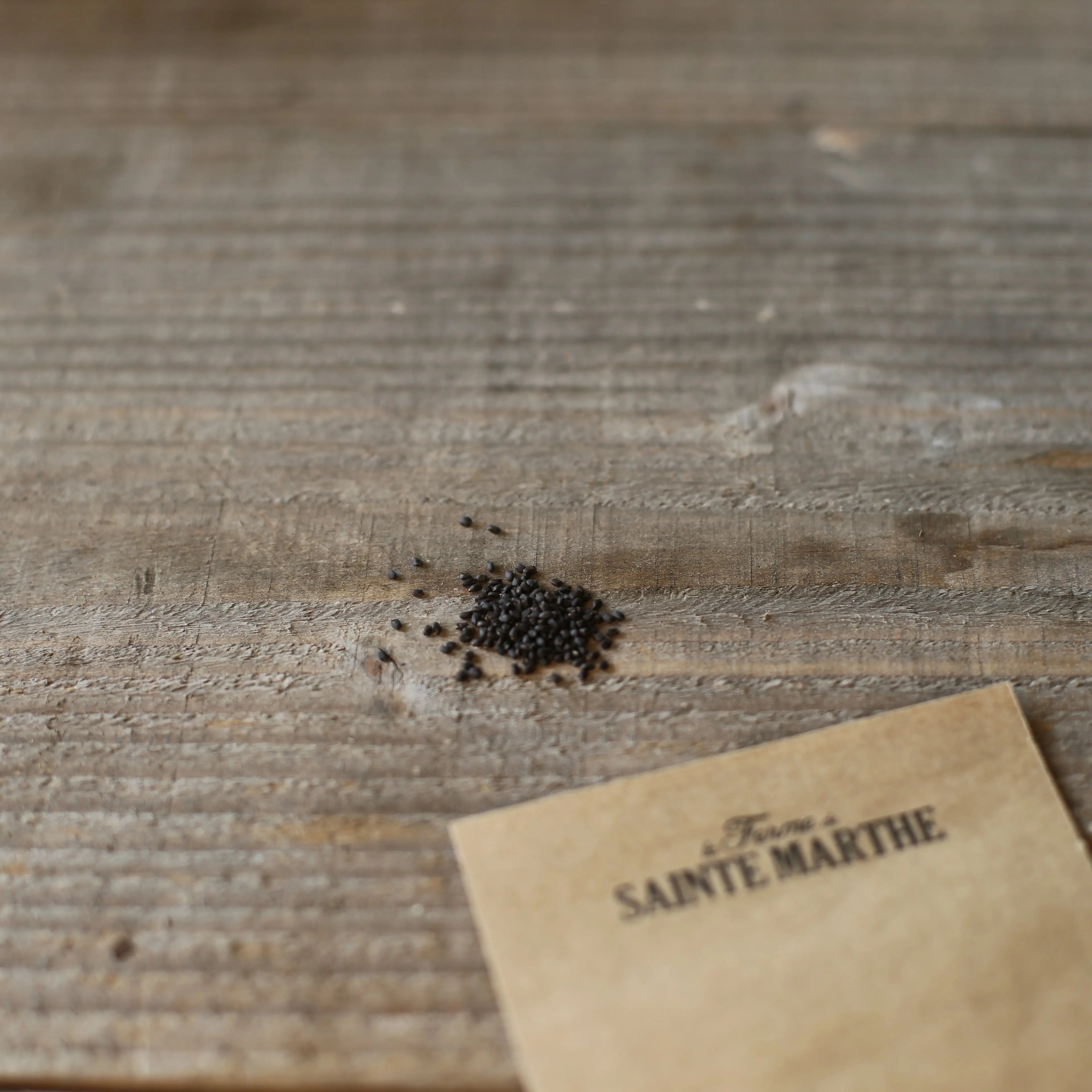 ferme-de-sainte-marthe-basilic-genovese-ab-graines-aromatiques-sachet-bio image 2