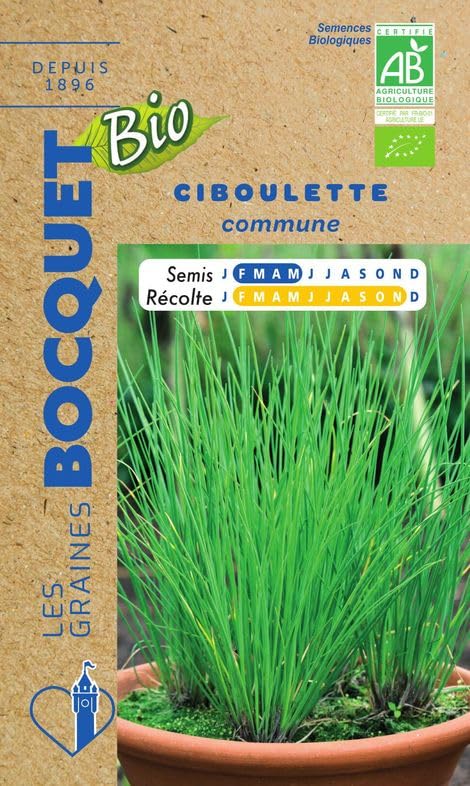 graines-bocquet-bio-ciboulette-graines-aromatiques-0-5g-bio image 1