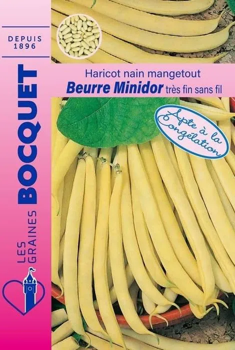 graines-bocquet-potag-res-haricot-minidor-graines-70-g-beurre image 1