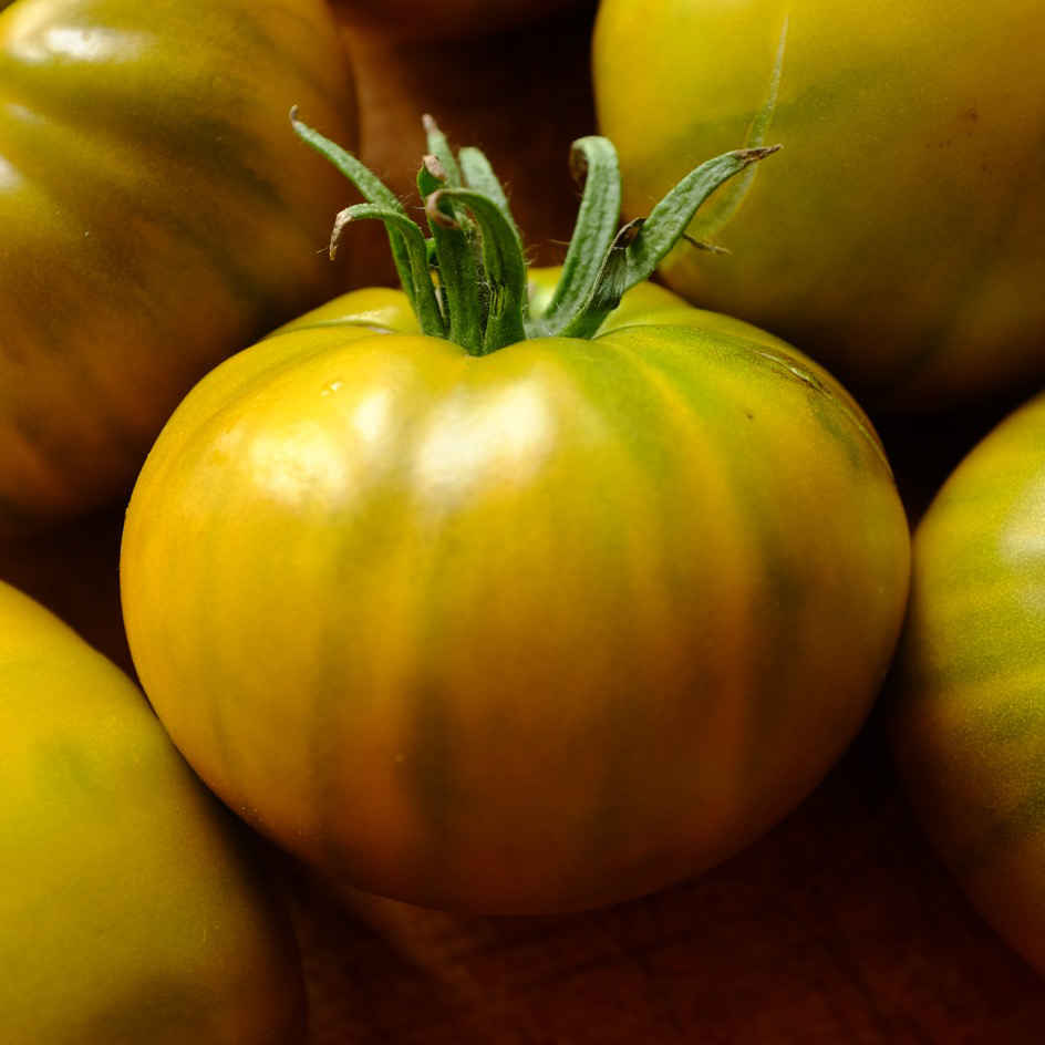 la-bo-te-graines-tomate-evergreen-graines-l-gumes-bio-verte image 5
