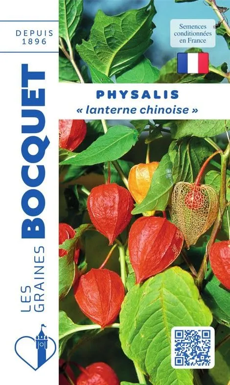 graines-bocquet-graines-potag-res-physalis-lanterne-chinoise-0-5g-vivace image 1