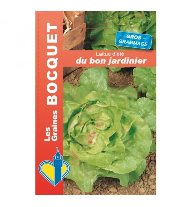 graines-bocquet-laitue-d-t-bon-jardinier-graines-12-g image 1