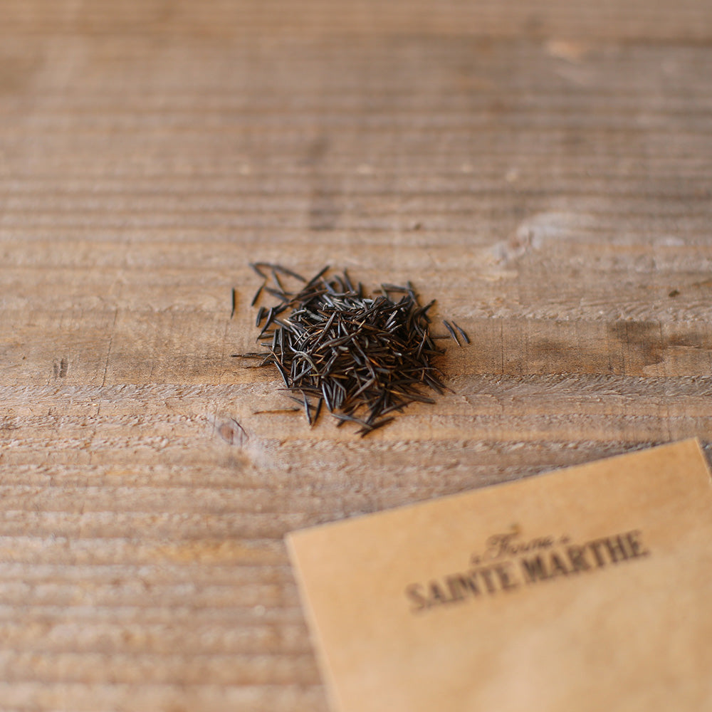 ferme-de-sainte-marthe-cerfeuil-musqu-graines-bio-perp-tuel image 2