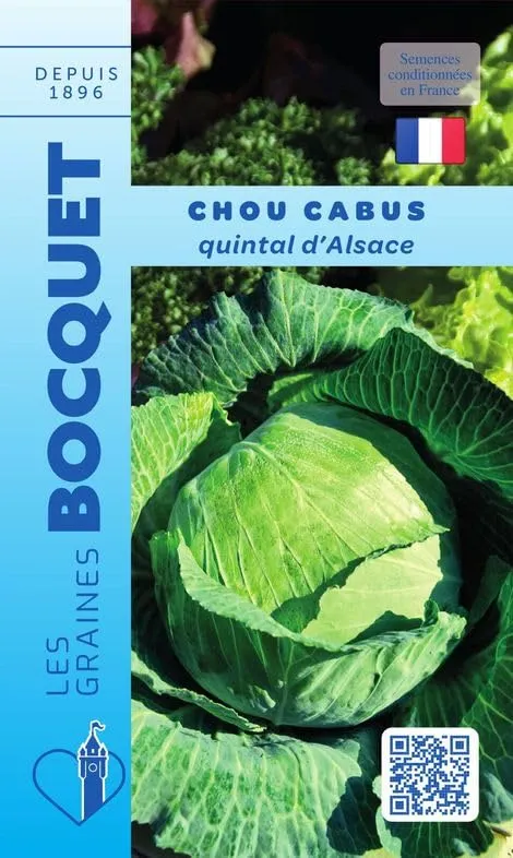 graines-bocquet-chou-cabus-quintal-d-alsace-graines-potag-res-3-g-ferme image 1