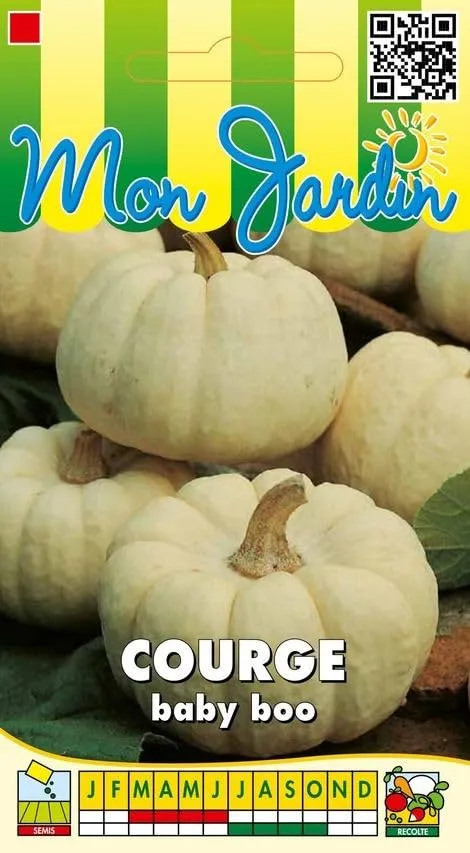 graines-bocquet-courge-baby-boo-3-g-mini-courge-sucr-e image 1