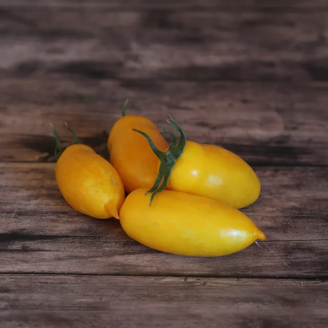 ferme-de-sainte-marthe-tomate-banana-legs-graines-bio-jaune image 1