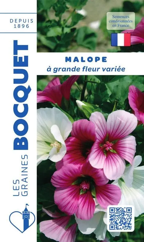 graines-bocquet-malope-grande-fleur-vari-e-graines-fleurs-2-g-rustique image 1