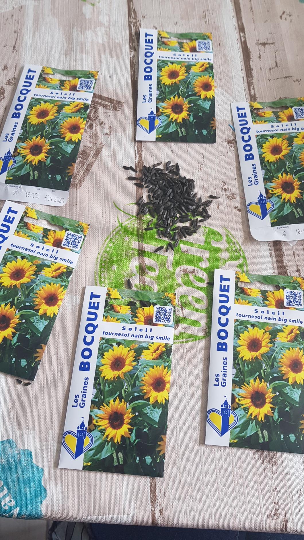 Fleur jaune
