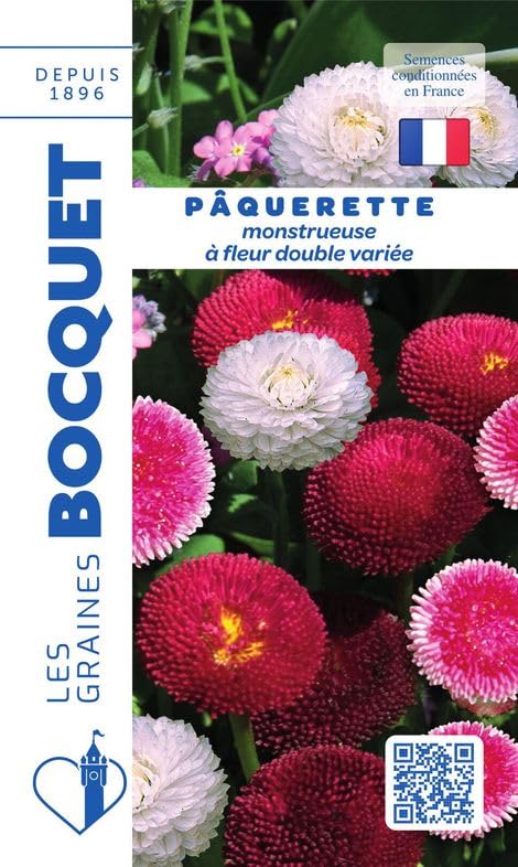 graines-bocquet-p-querette-double-vari-e-graines-fleurs-0-3-g image 1
