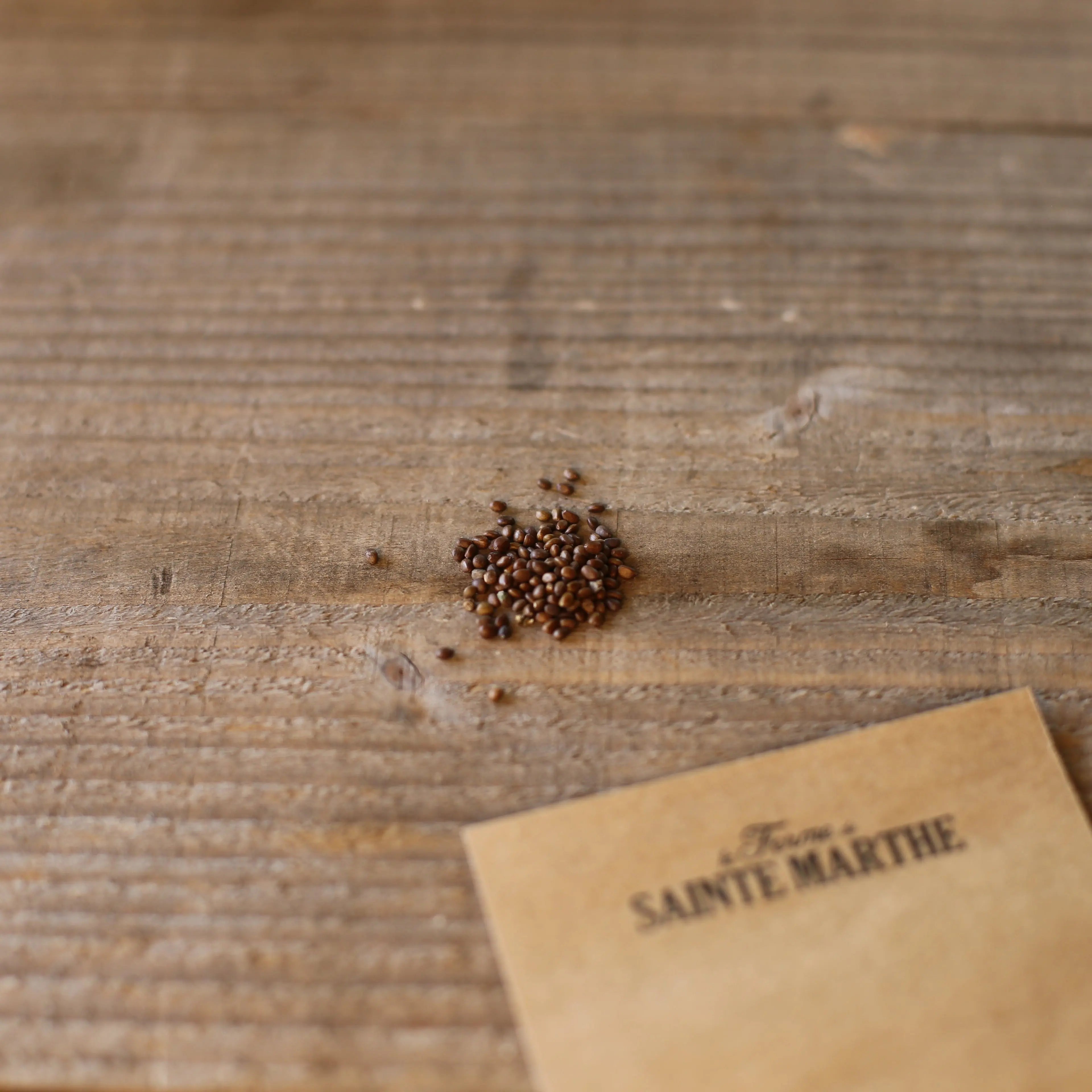 ferme-de-sainte-marthe-tag-te-dropshot-r-glisse-graines-bio image 2