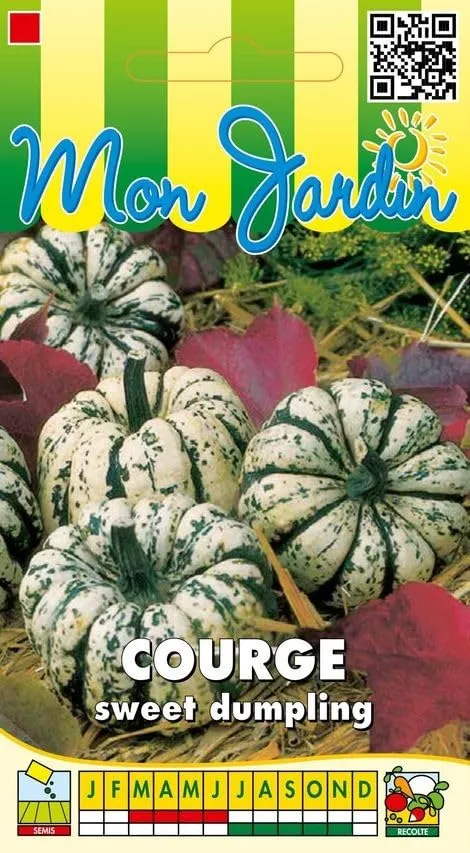 graines-bocquet-courge-sweet-dumpling-patidou-graines-3g image 1