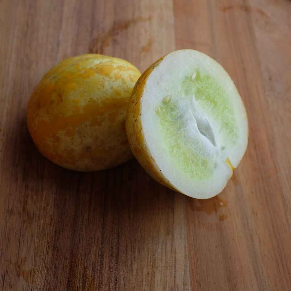 la-bo-te-graines-concombre-lemon-graines-bio-jaune image 2
