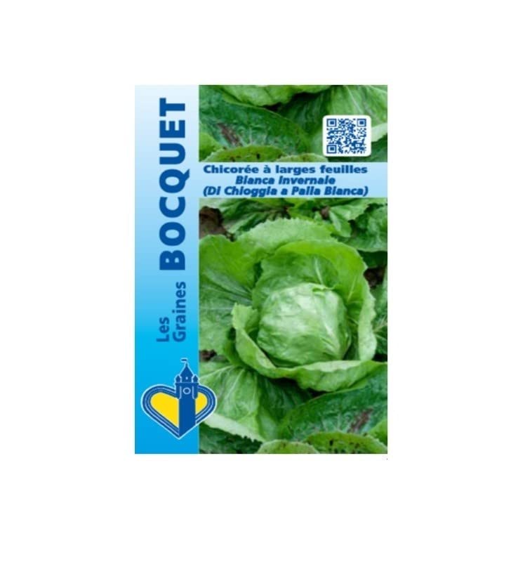 bocquet-chicor-e-bianca-invernale-graines-3-g-italienne image 1