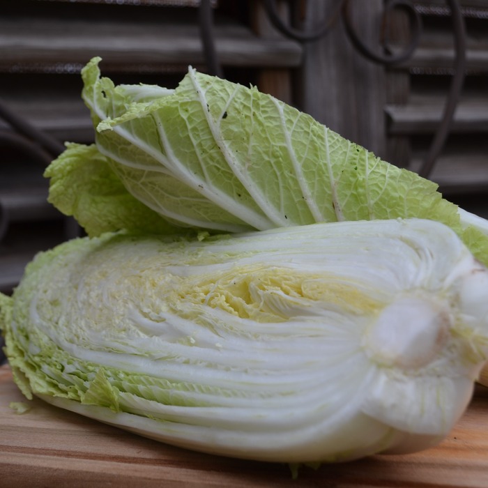 les-semences-de-l-ombelle-p-tsa-granaat-graines-chou-bio image 2