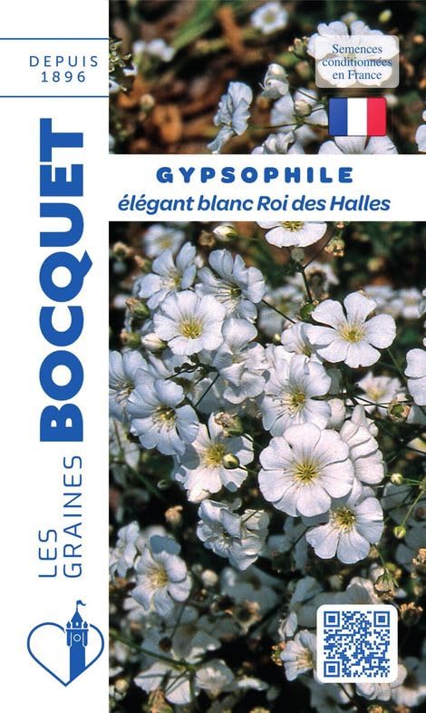graines-bocquet-gypsophile-l-gant-blanc-graines-fleurs-3-g-annuelle image 1