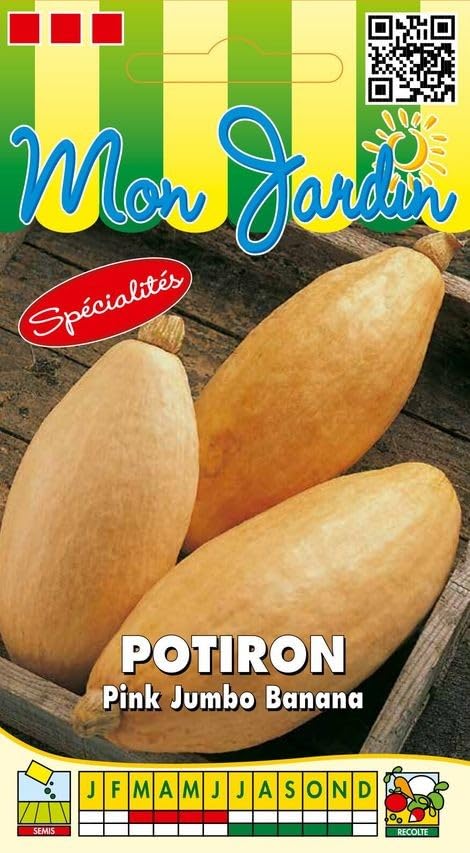 graines-bocquet-pink-jumbo-banana-graines-potag-res-3-g image 1