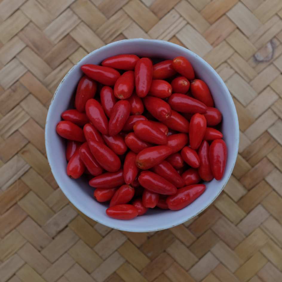 la-bo-te-graines-graines-l-gumes-piment-oiseau-bio-graines-fort image 4