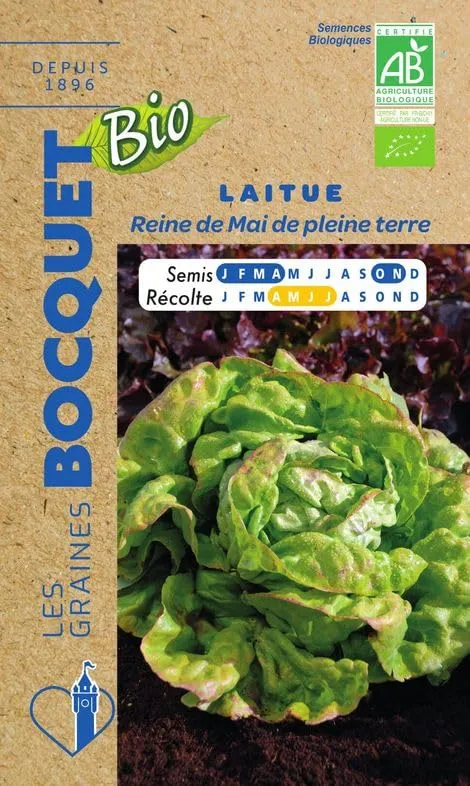 graines-bocquet-laitue-reine-de-mai-bio-graines-salade-3-g image 1