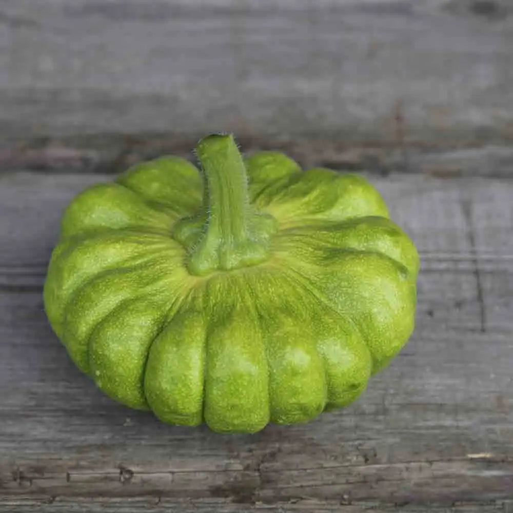 ferme-de-sainte-marthe-graines-potag-res-courge-musqu-e-yuxijiangbinggua-ab image 1