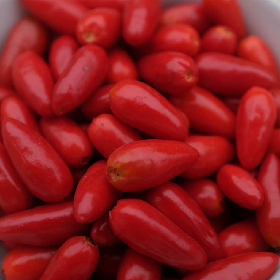 la-bo-te-graines-graines-l-gumes-piment-oiseau-bio-graines-fort image 2