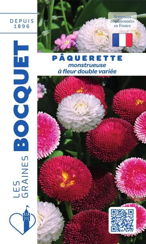 graines-bocquet-p-querette-double-vari-e-graines-fleurs-0-3-g image 1