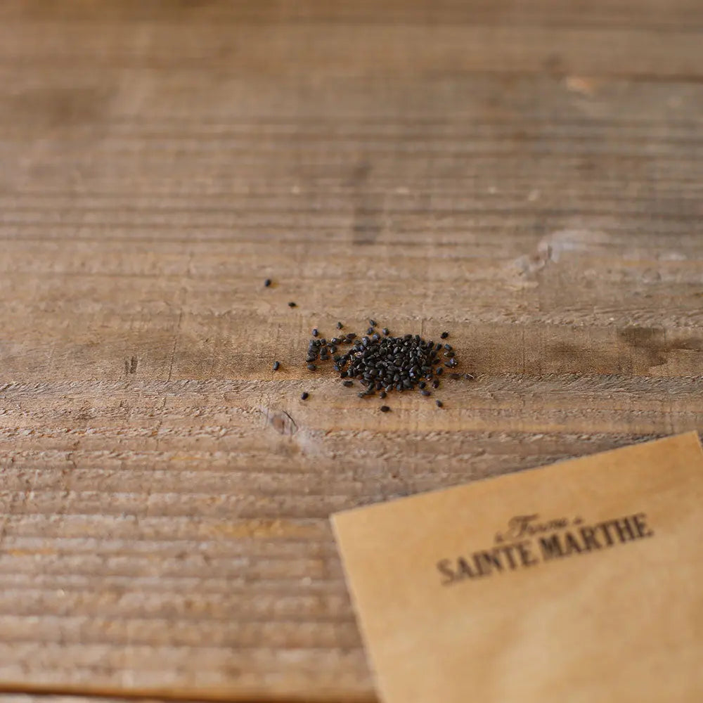 ferme-de-sainte-marthe-basilic-citron-ab-graines-aromatiques-bio image 2