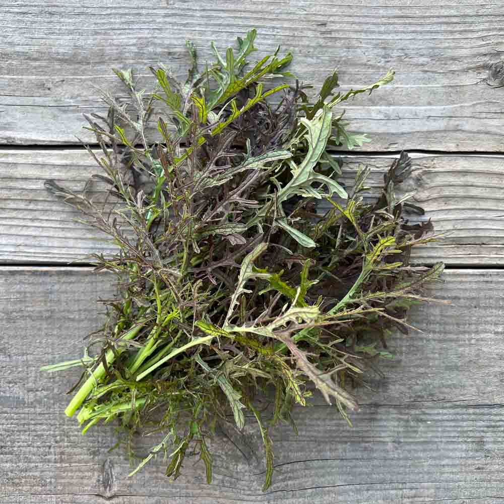 ferme-de-sainte-marthe-moutarde-purple-frills-graines-bio image 1