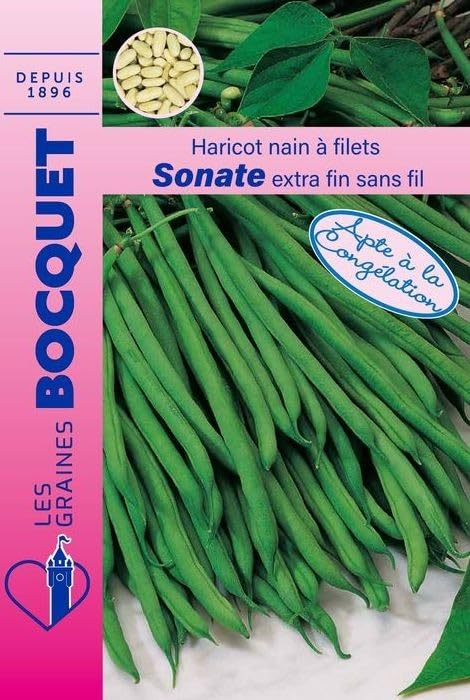 graines-bocquet-sonate-haricot-nain-graines-60g-extra-fin image 1