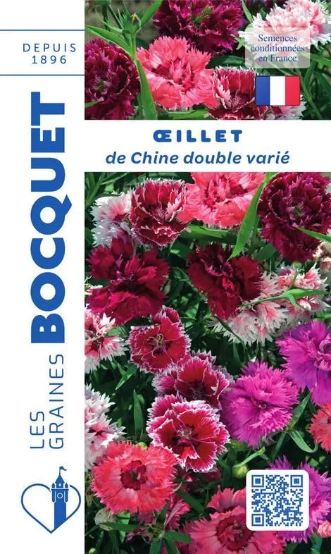 graines-bocquet-oeillet-de-chine-double-vari-graines-fleurs-1-2-g image 1