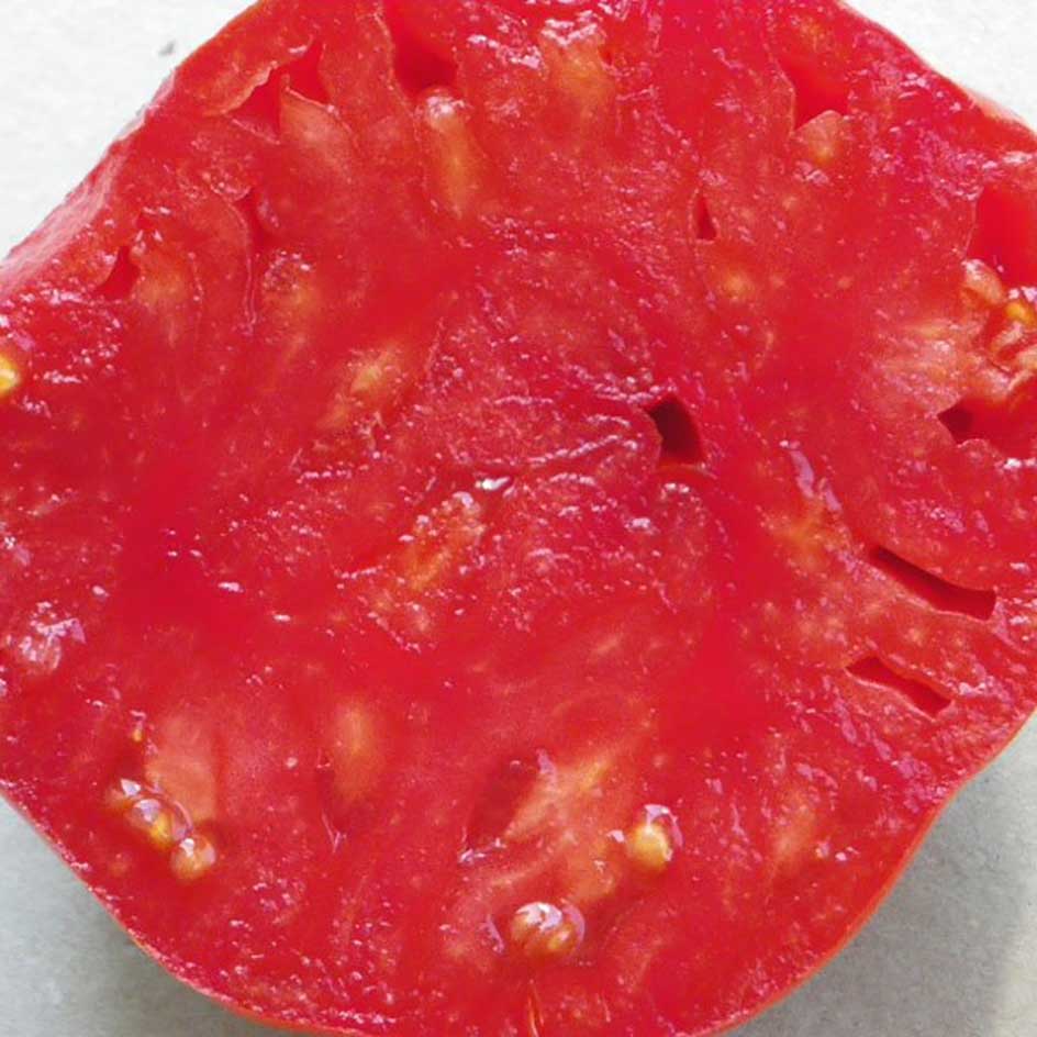 la-bo-te-graines-graines-l-gumes-tomate-coeur-de-boeuf-bio image 4