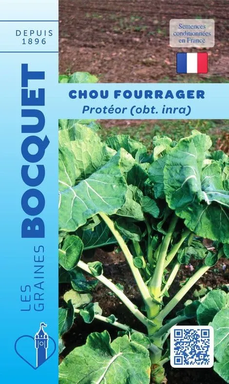 graines-bocquet-protror-chou-fourrager-graines-10-g-branchu image 1