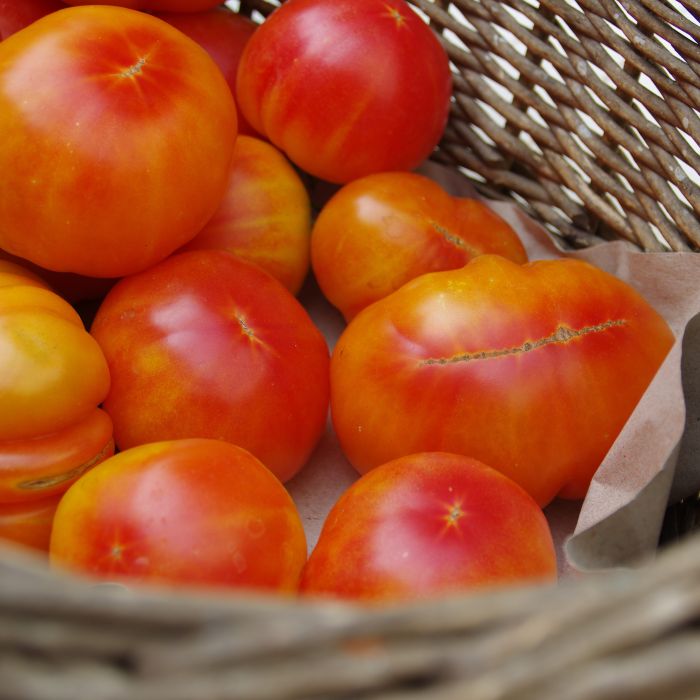 les-semences-de-l-ombelle-tomate-ananas-bio-graines-tomate image 3