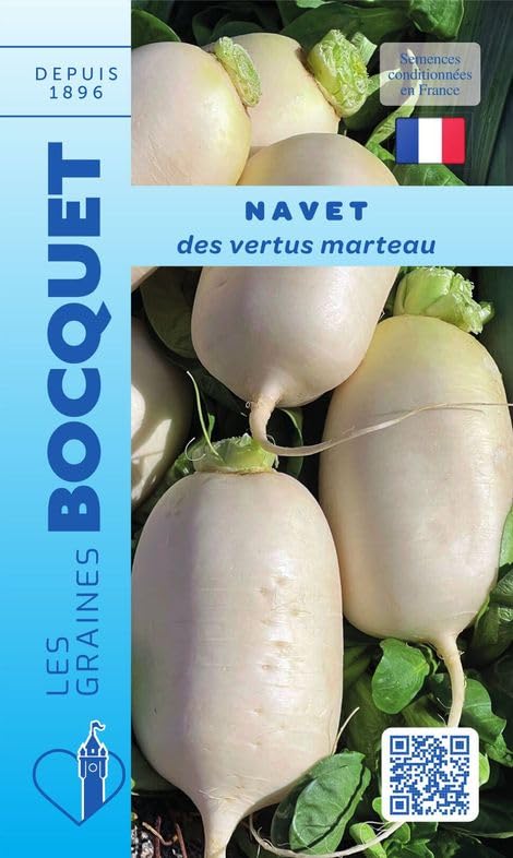 graines-bocquet-navet-vertus-marteau-graines-6-g-chair-tendre image 1