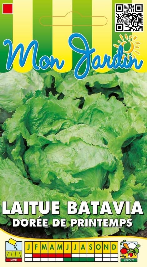 graines-bocquet-laitue-batavia-dor-e-de-printemps-graines-3-g image 1