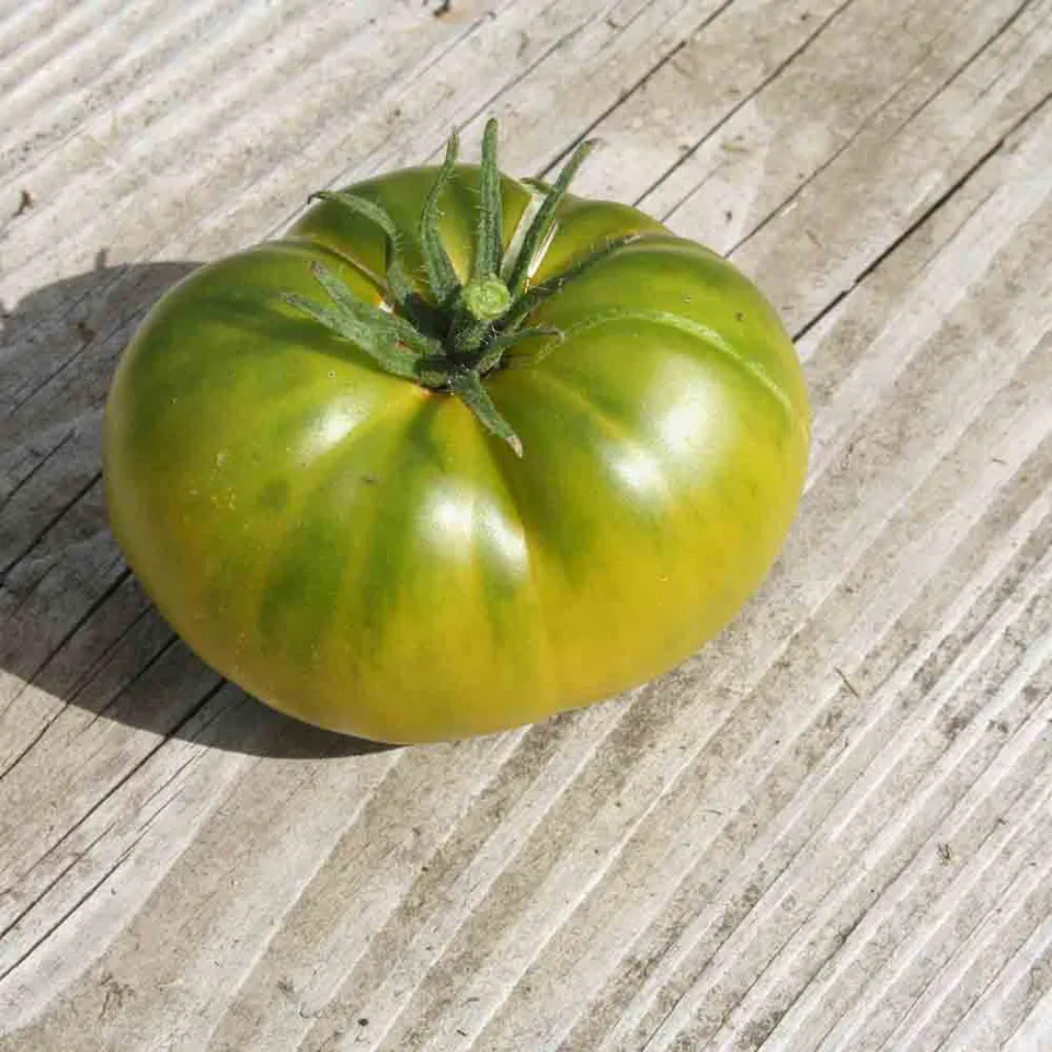ferme-de-sainte-marthe-tomate-aunt-ruby-s-german-green-graines-bio-verte image 1