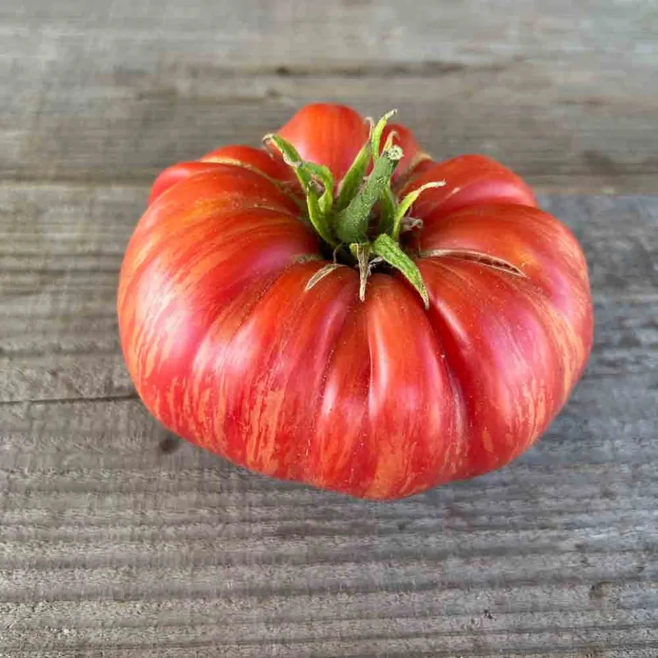 ferme-de-sainte-marthe-tomate-pink-jazz-graines-bio-sachet image 1