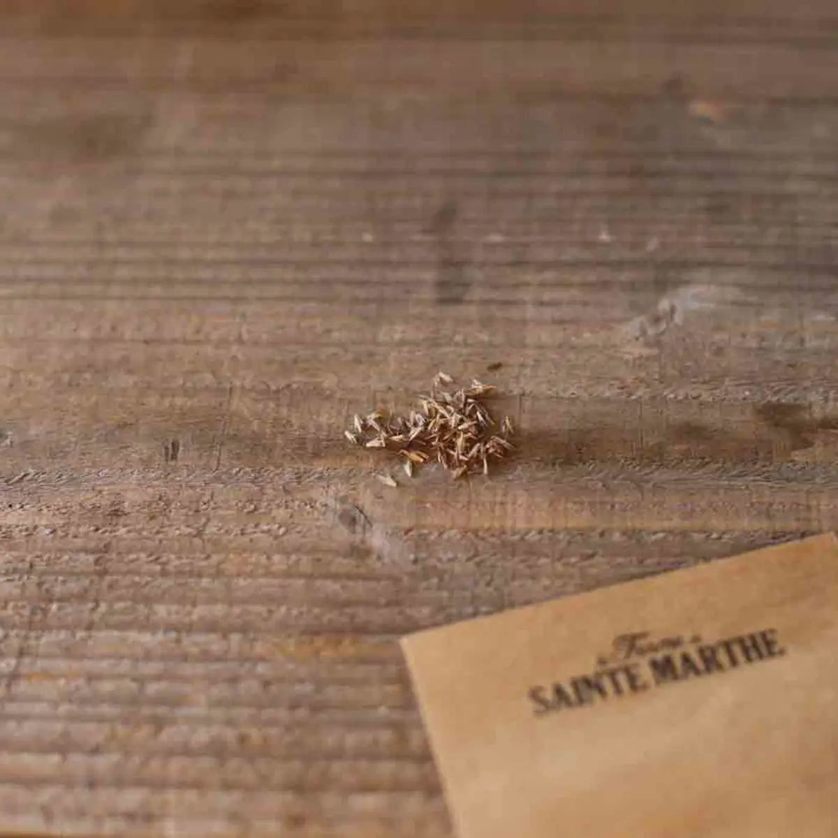 ferme-de-sainte-marthe-citronnelle-verveine-des-indes-graines-anti-moustiques image 2