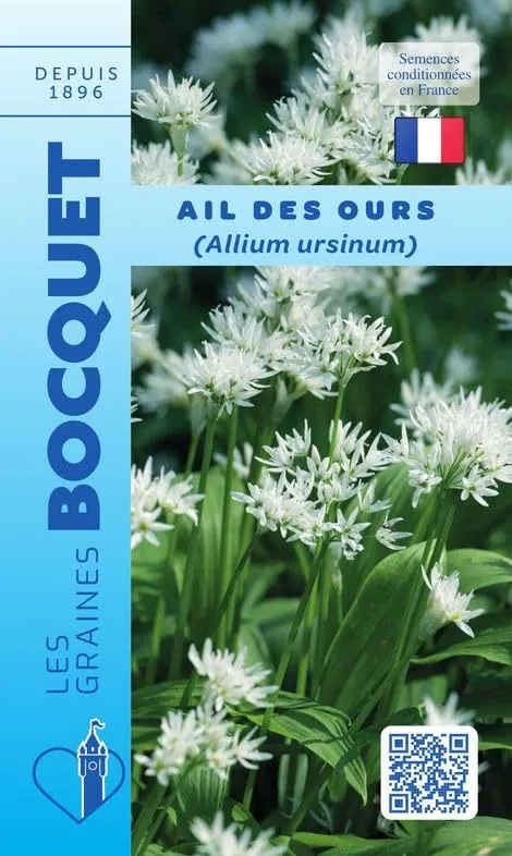 graines-bocquet-herbes-aromatiques-ail-des-ours-graines-0-50g image 1