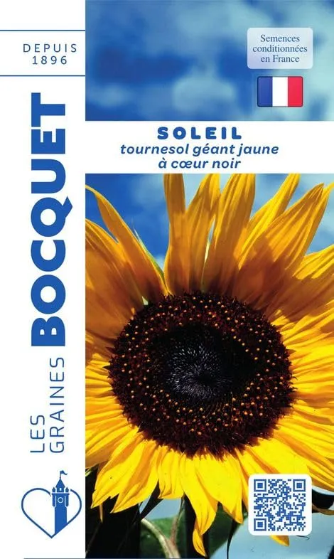 graines-bocquet-soleil-tournesol-g-ant-jaune-coeur-noir-graines-3-g image 1